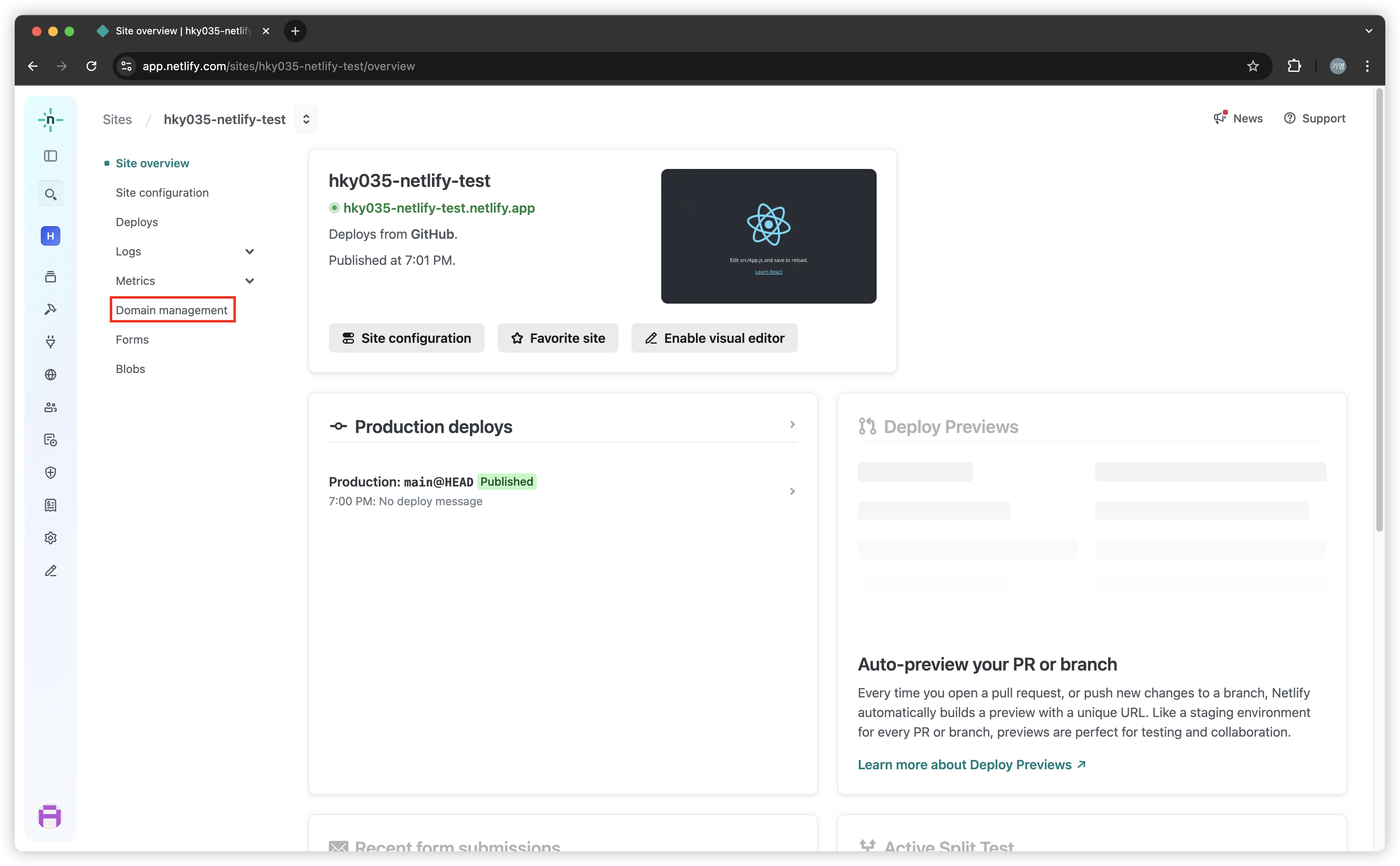 netlify-dns-1