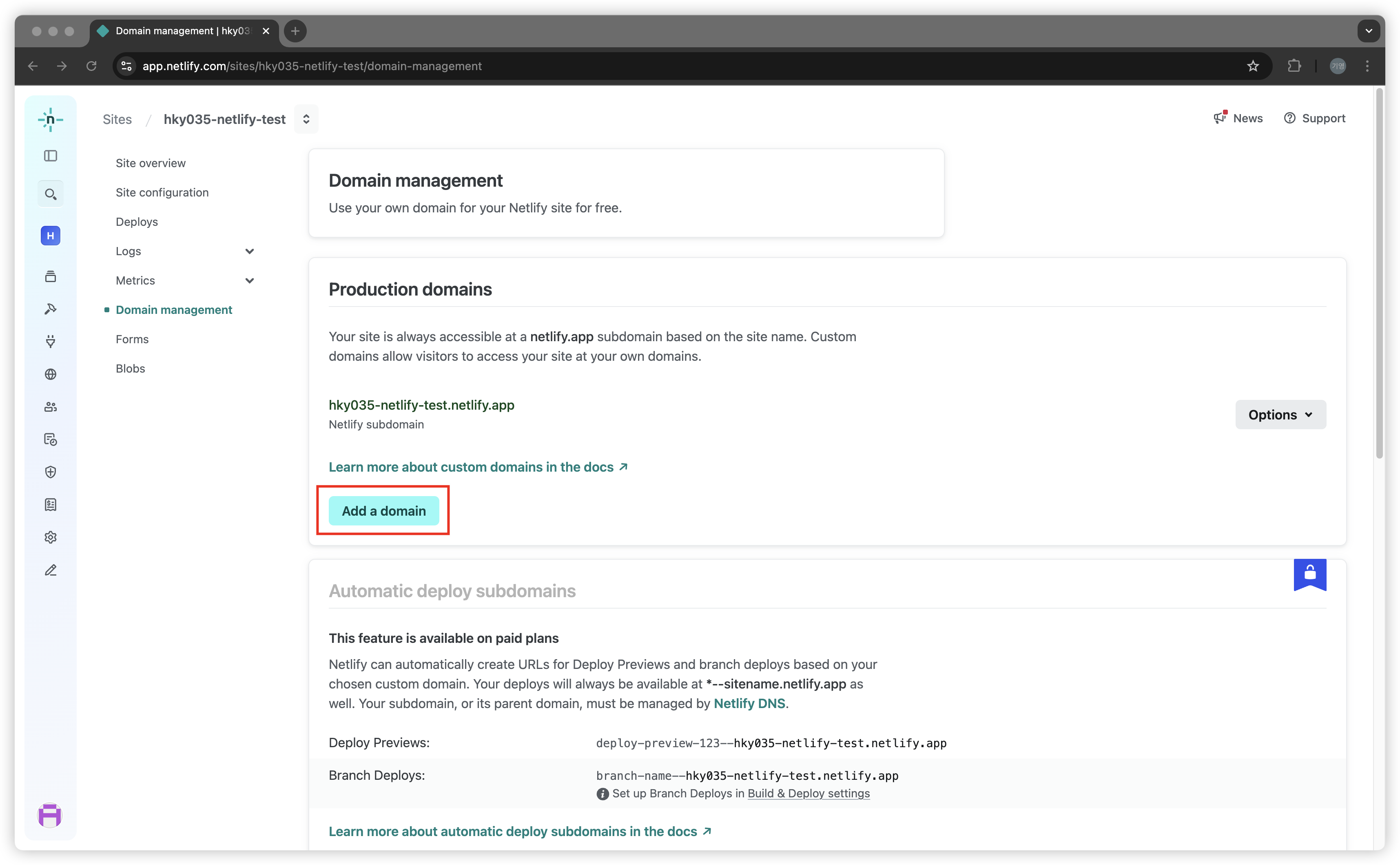 netlify-dns-2