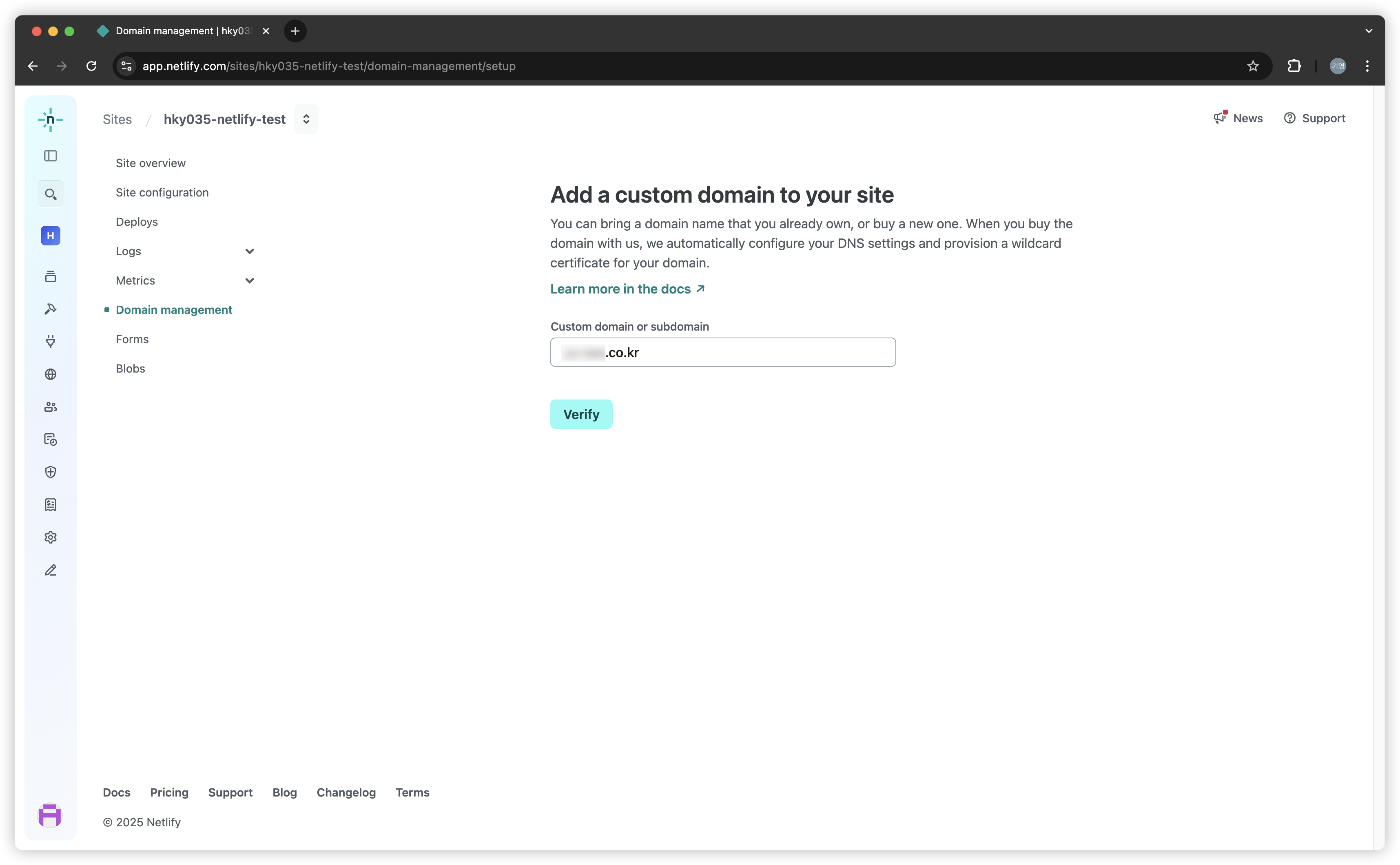 netlify-dns-3