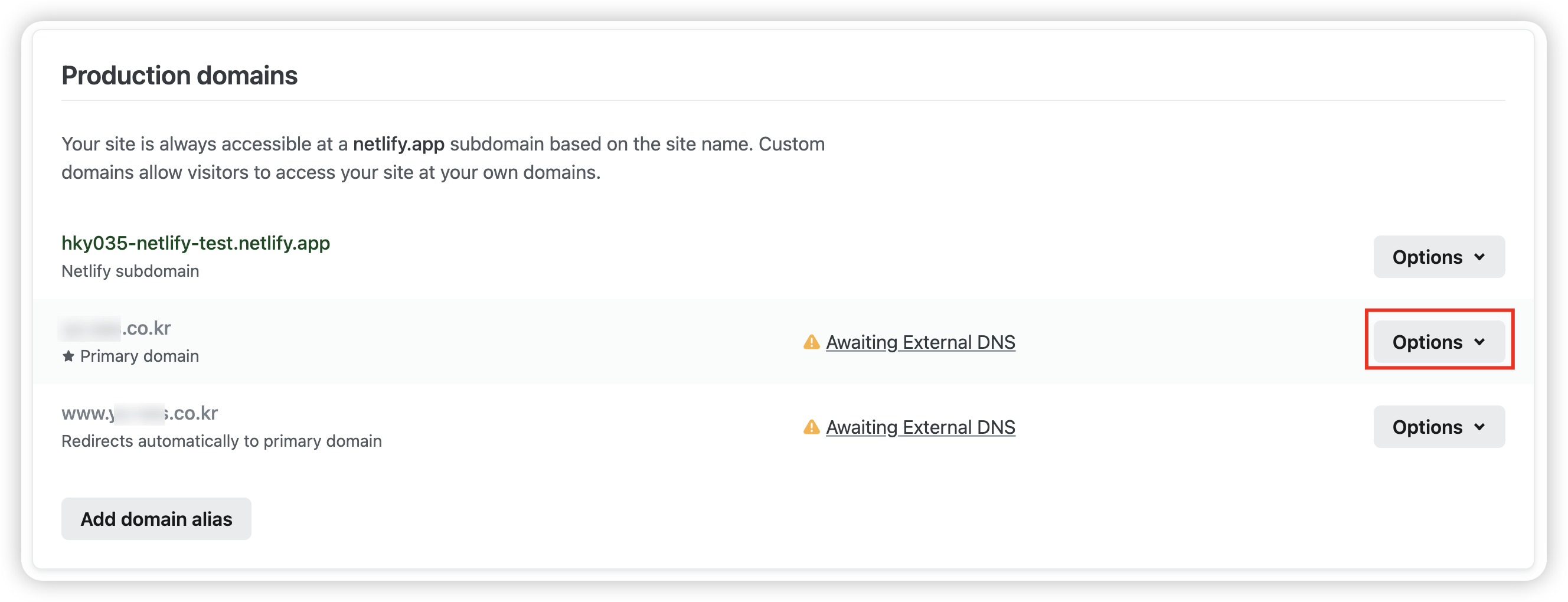 netlify-dns-4