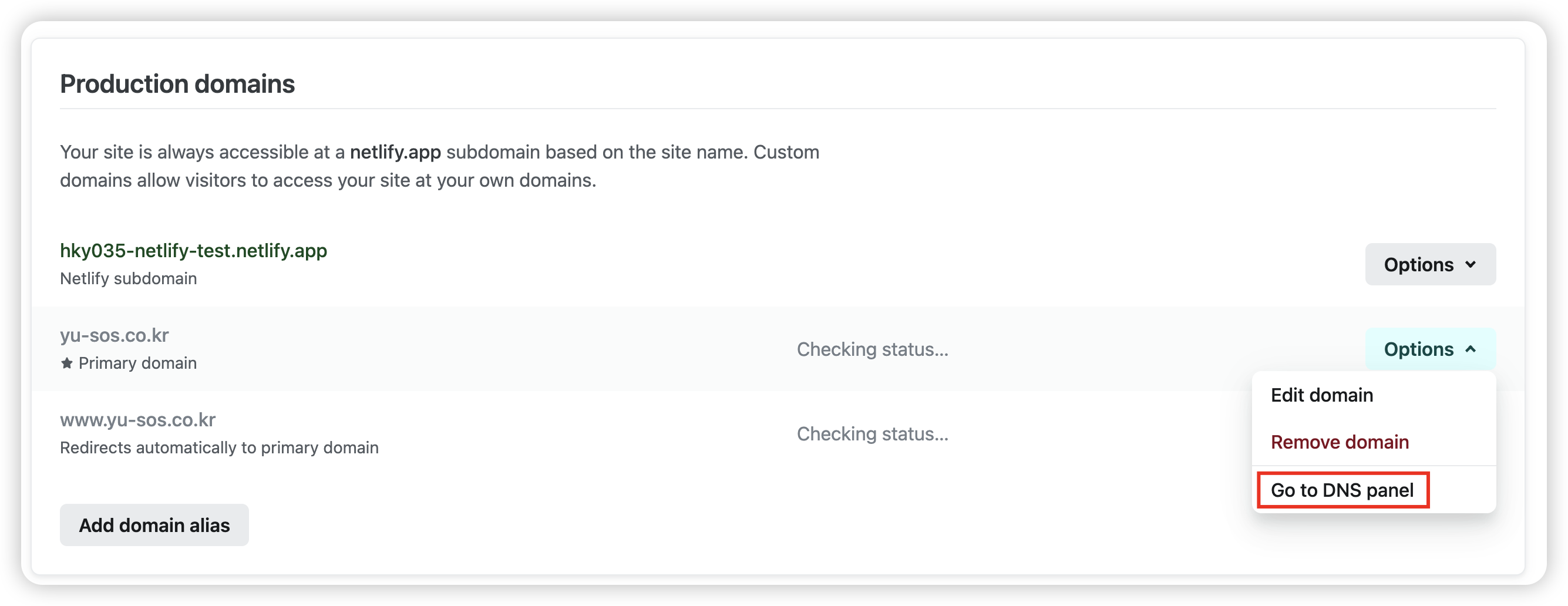 netlify-dns-5