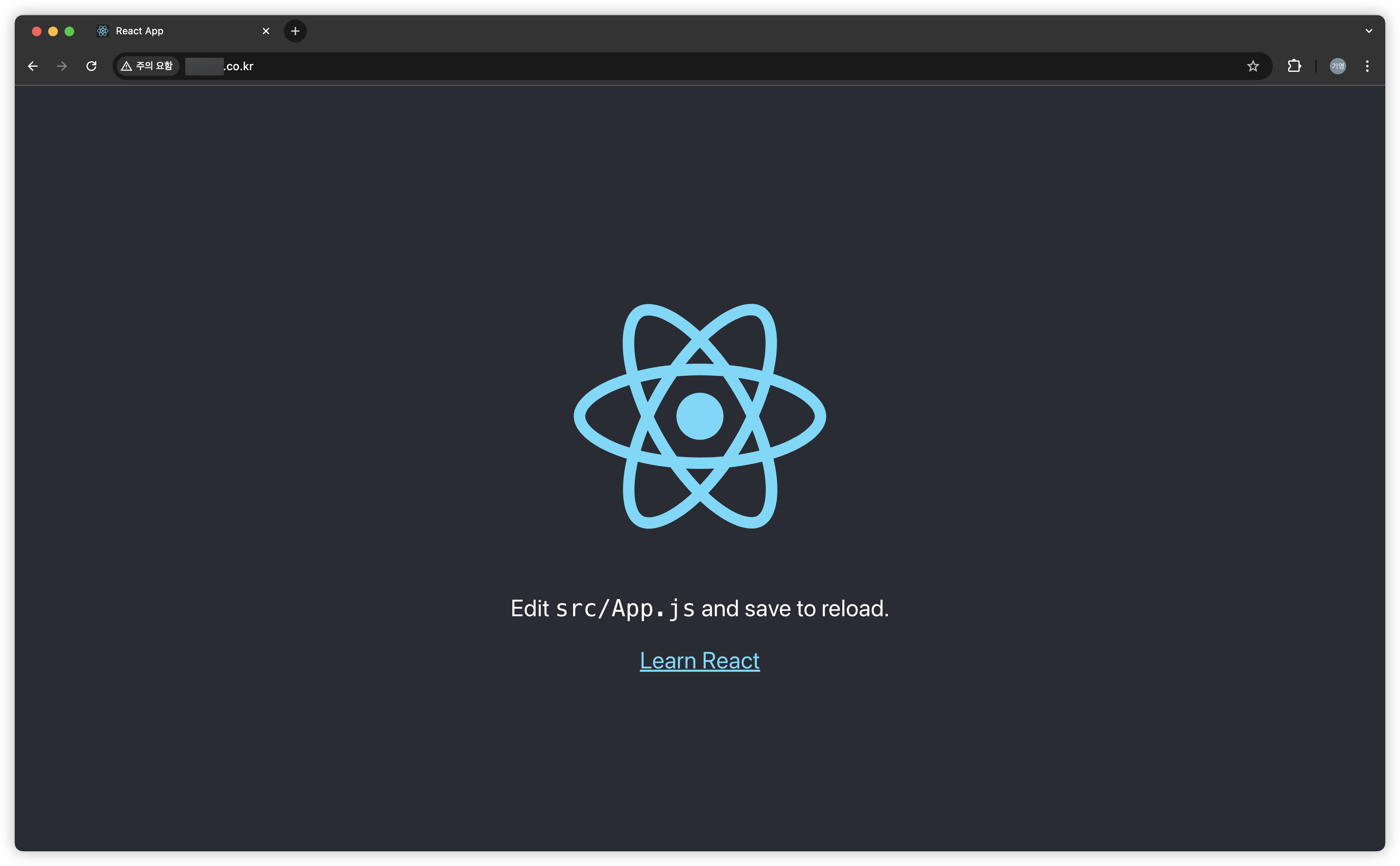 netlify-dns-8