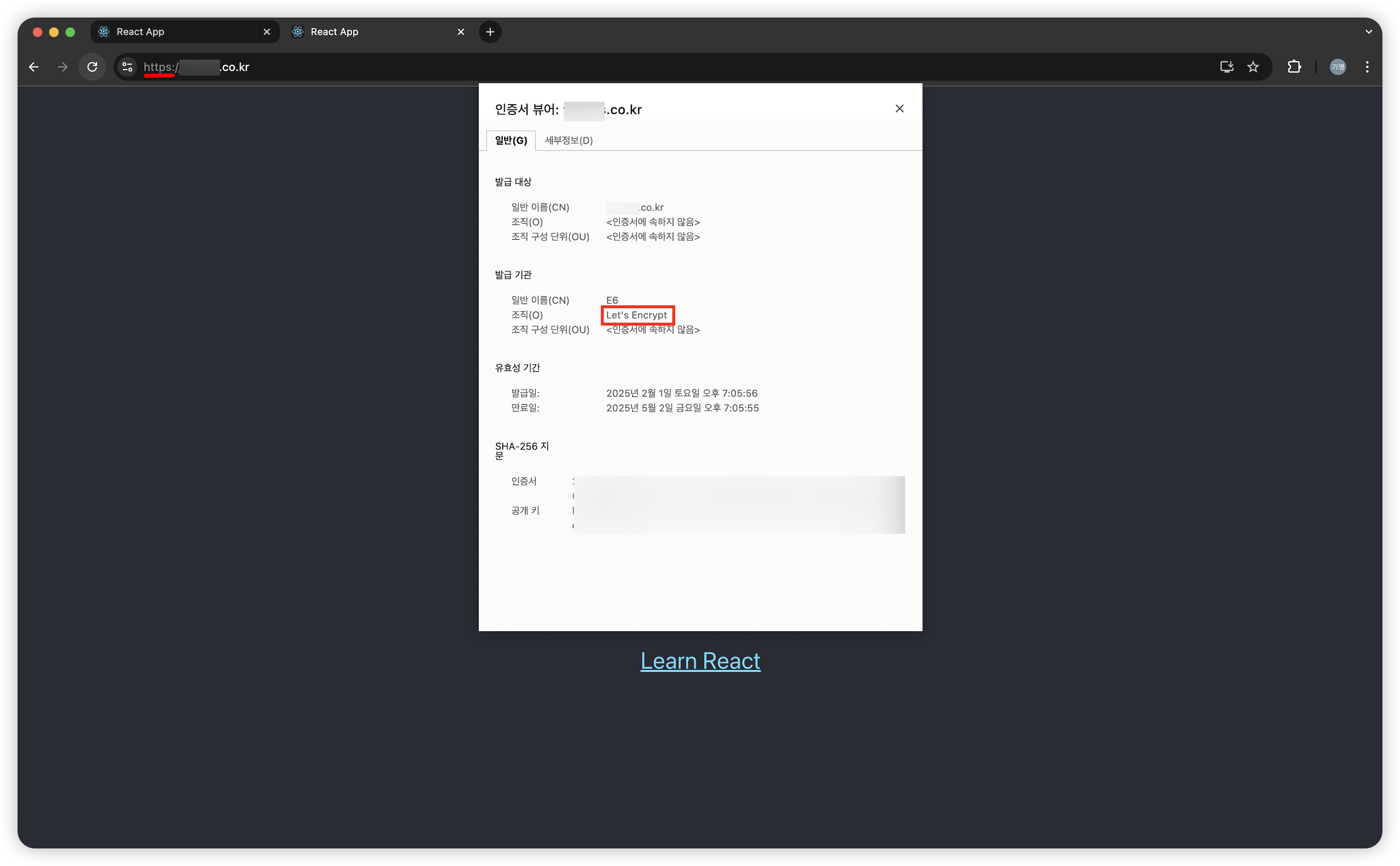 netlify-https-3